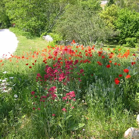 Bed & Breakfast Le Moulinage Saint-Thome